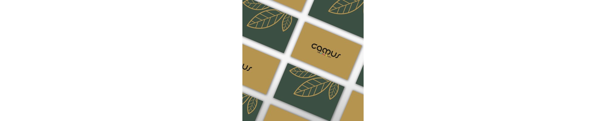 Impresión de tarjetas de visita